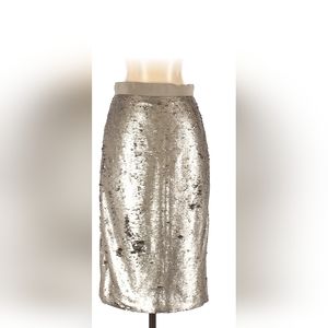 Banana Republic Matte Sequin Pencil Skirt